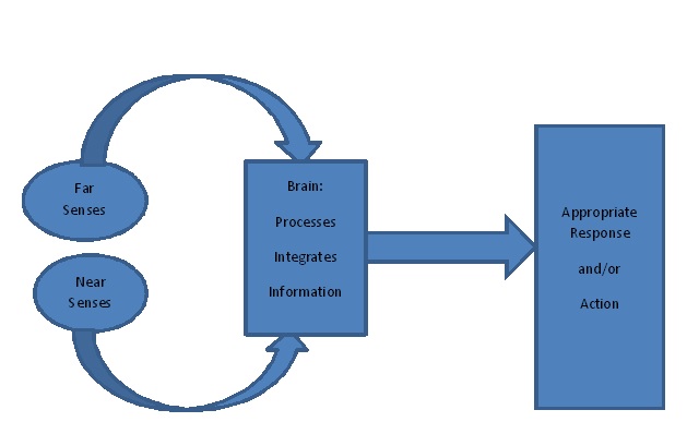 Processing_diagram.jpg